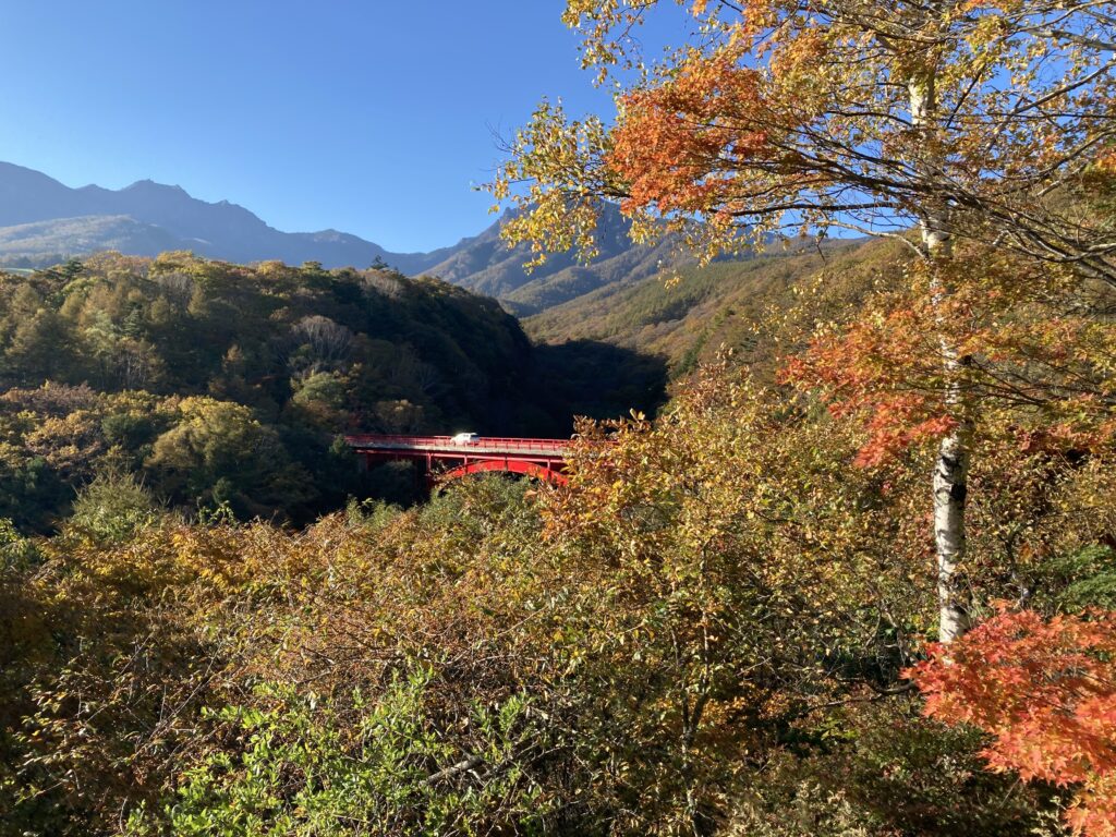 ROCK：清泉寮近くの東沢大橋の紅葉①