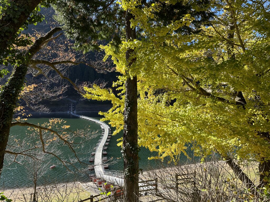 島勝：留浦浮橋①