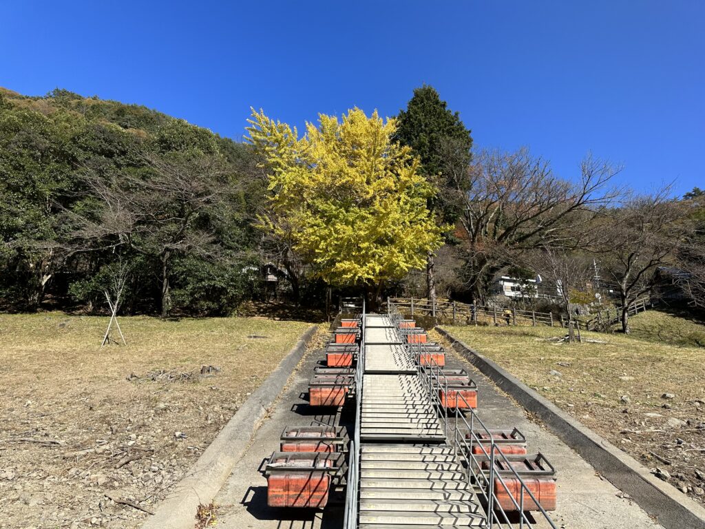 島勝：留浦浮橋③