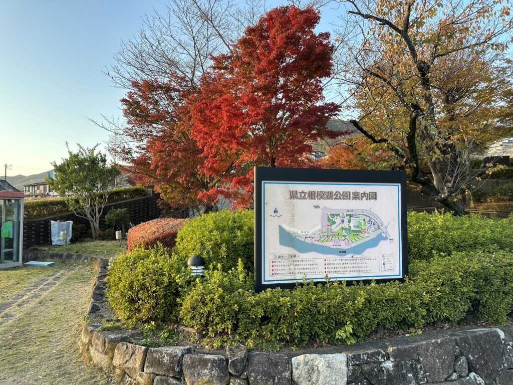 神奈川県立相模湖公園の紅葉